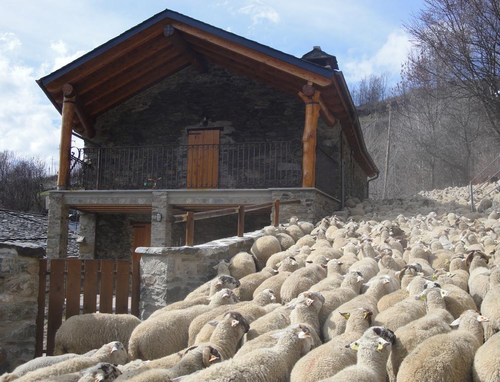 La Cabanya De Cal Forn De Serrat Queralbs  Exterior foto